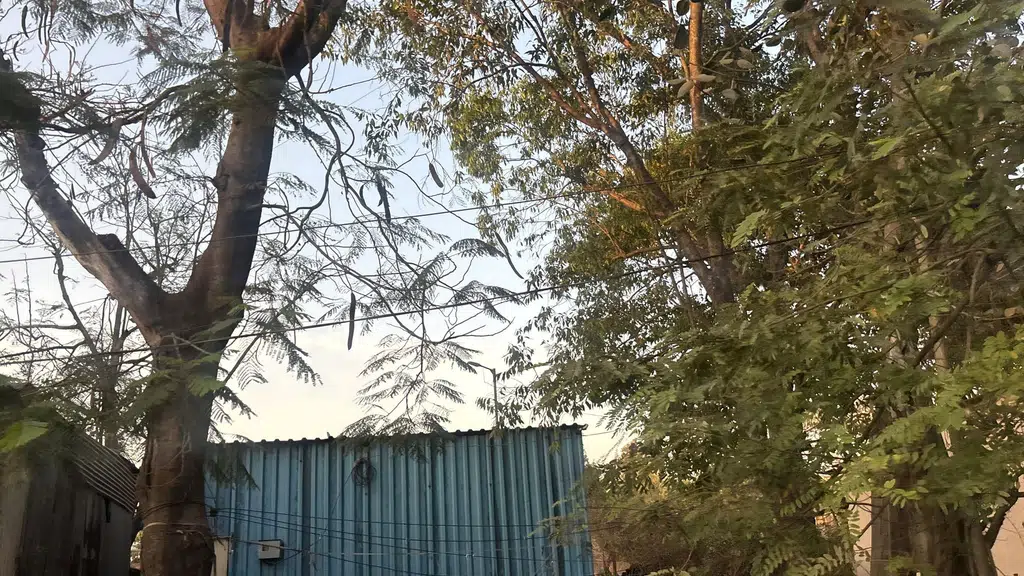 Sushree Modular Near me Best Price Best