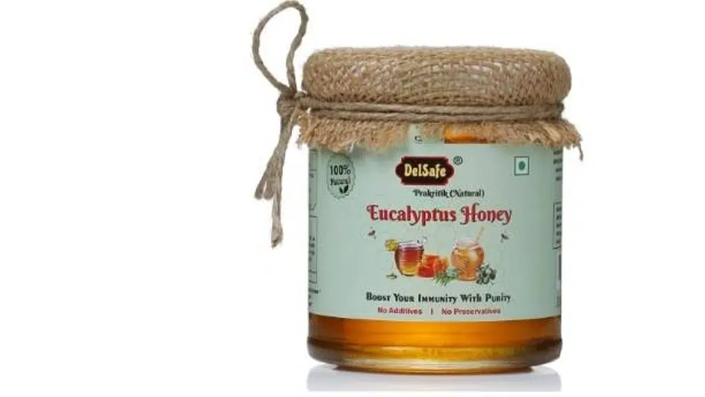 Delsafe Prakritik Natural Honey
