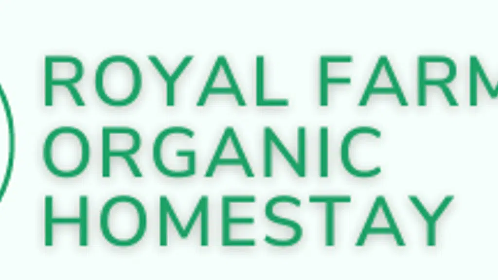 Royal Guest House