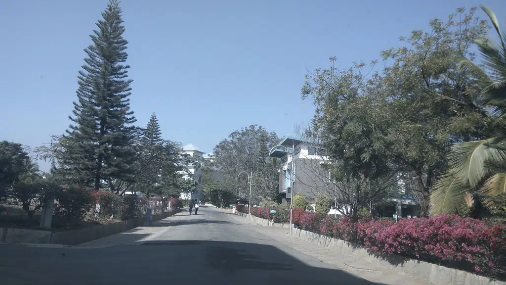 Aldovia Resort and Convention