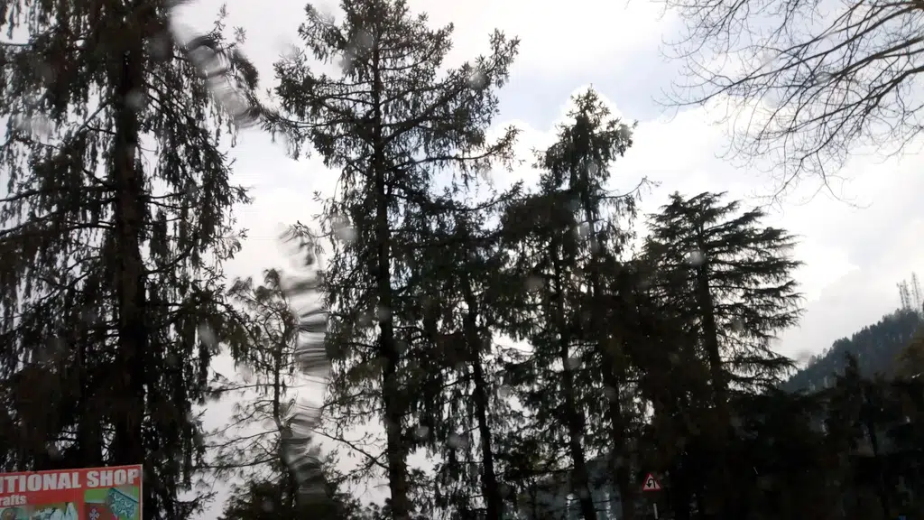 Little Heart Resort, Chail - Shimla