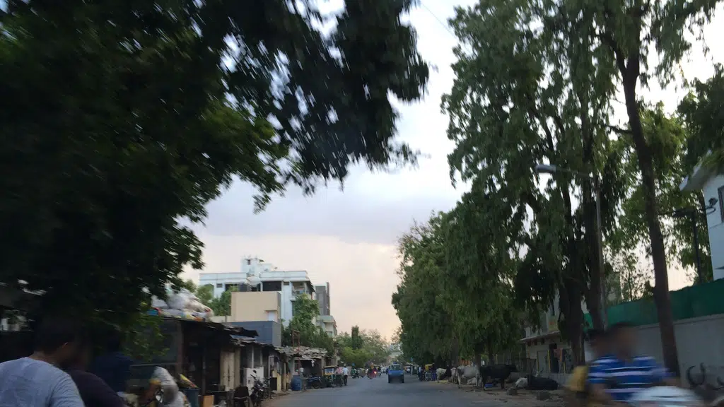 Sahaj Nutrition Centre