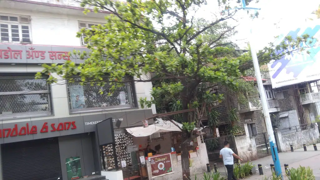 Clara International Aesthetic College