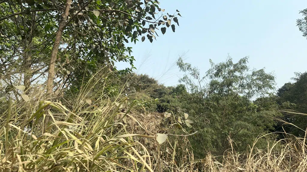 Jagdamba Mataji Mandir