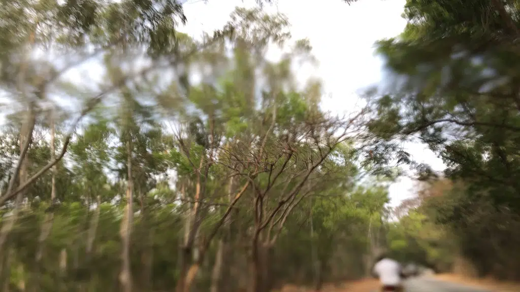SM Nisarga Farms