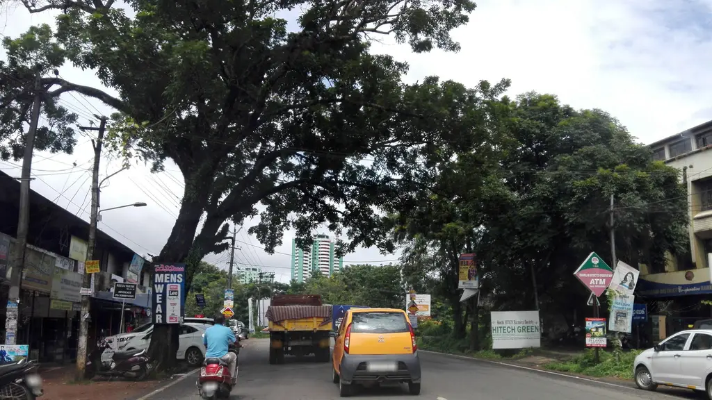 Kerala Bank, Thrikkakara Branch