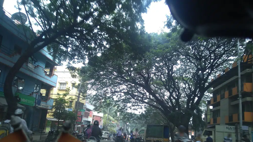 Annapoorneshwari Store