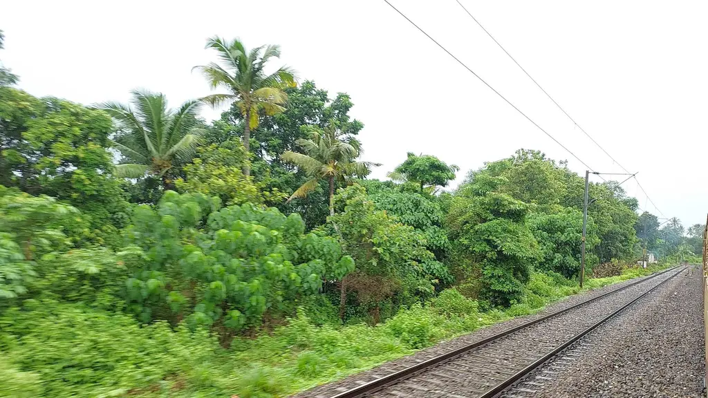 Vimala Star Theatres Varkala