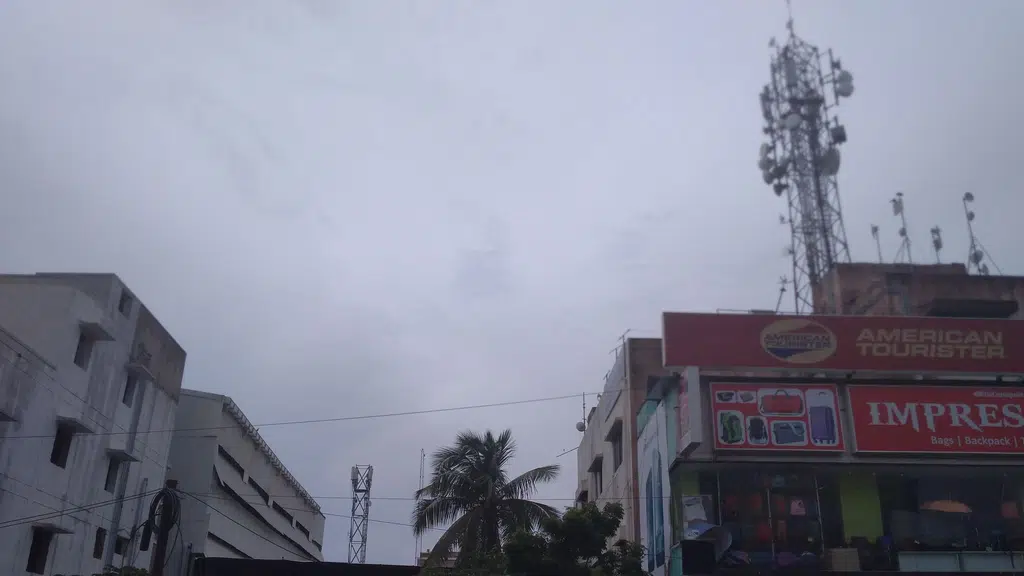 Muscate Electricals