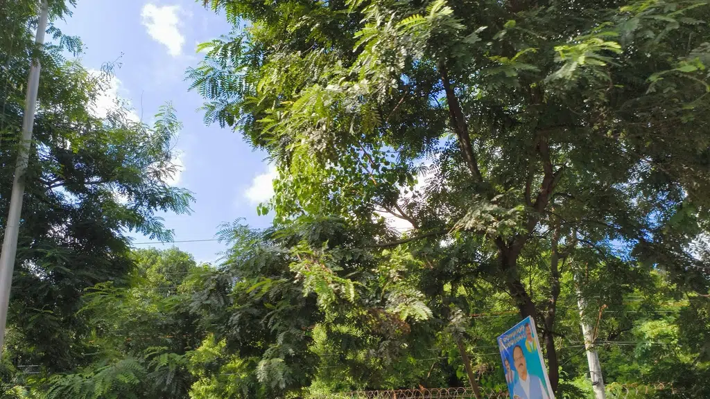 PSK2 Regional Passport Office
