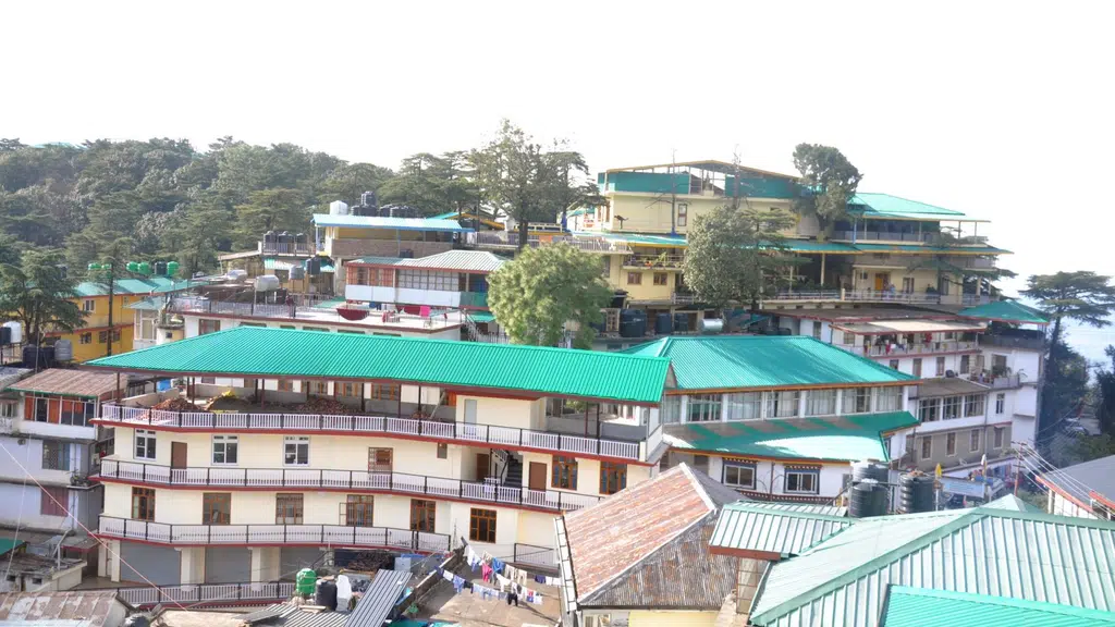 Institute of Buddhist Dialectics