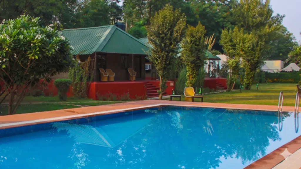 Jungle View Resort