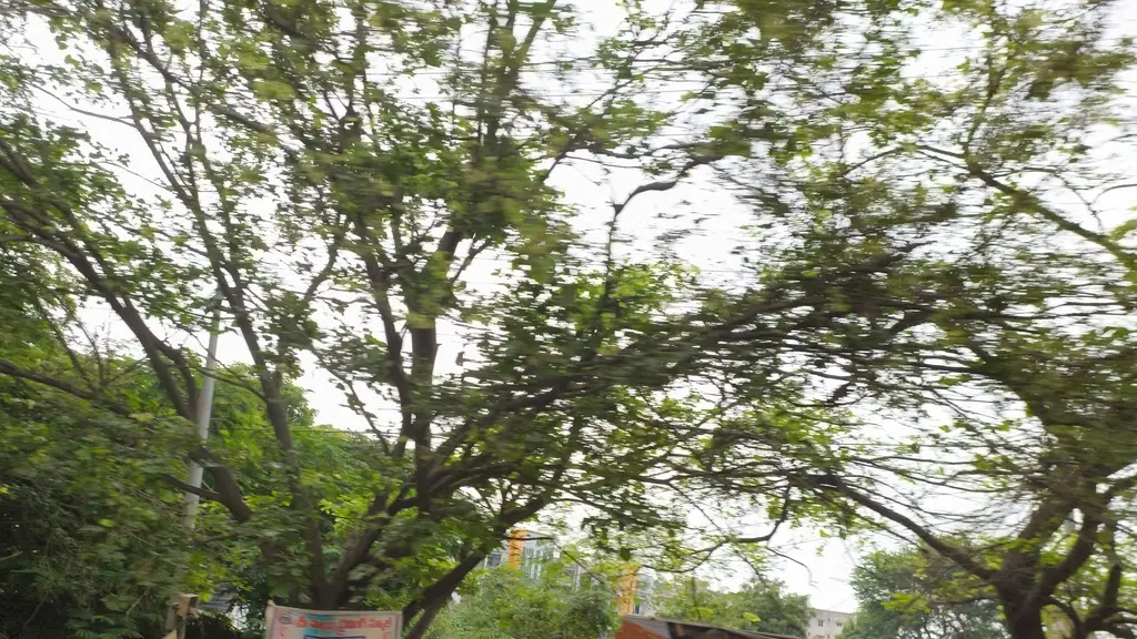 Fast Foods center