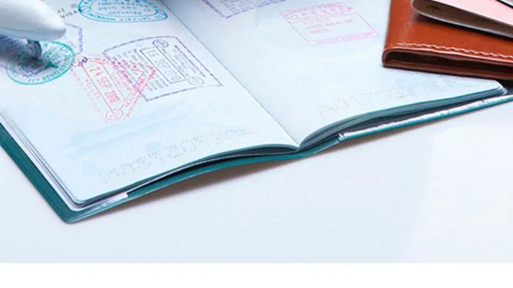 Famous Visa Consultant