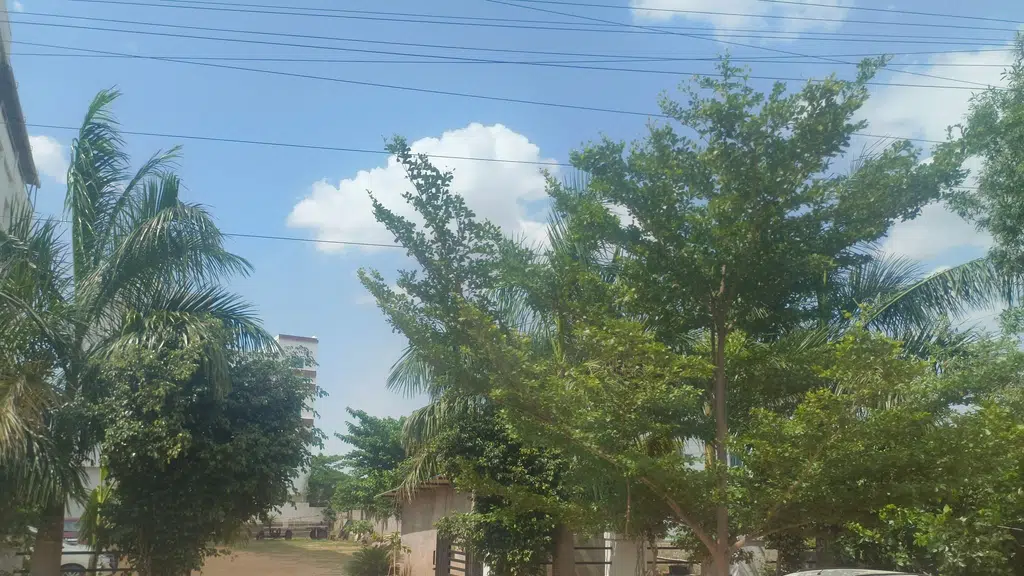 MedPlus Nuthankal Village