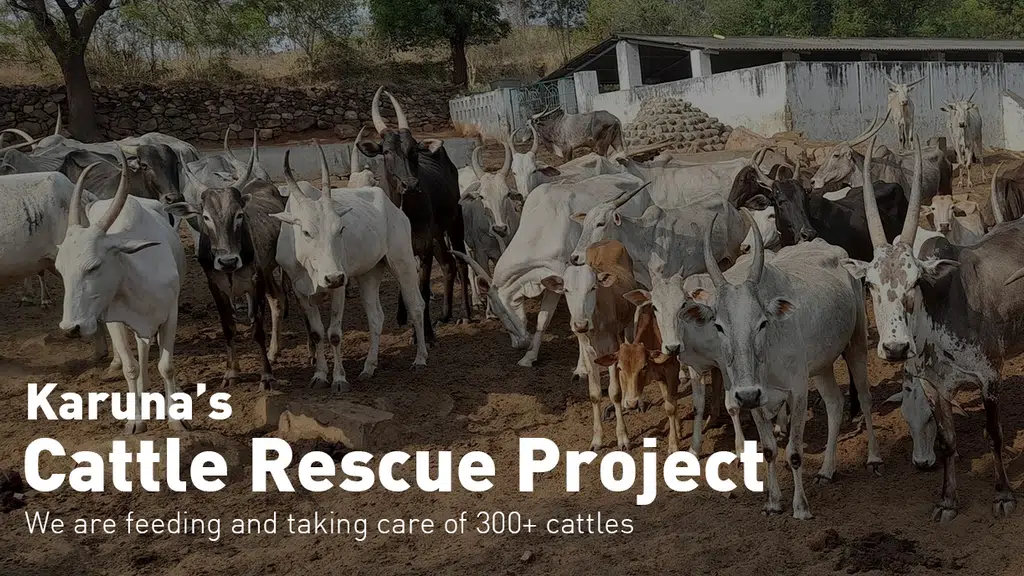 Karuna Society for Animals and Nature