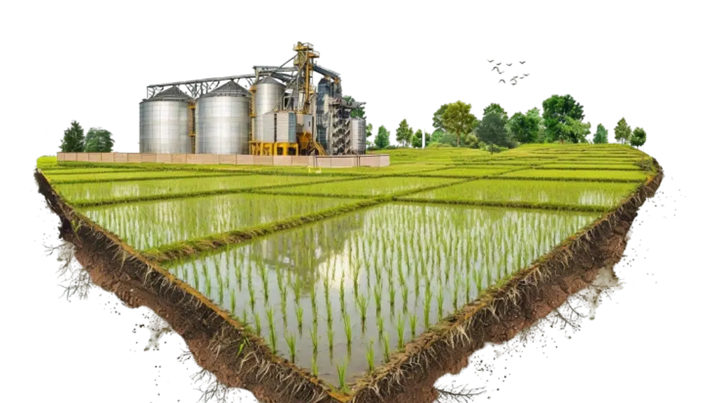 Arani Cmr Olivilakku Rice Exclusive Store