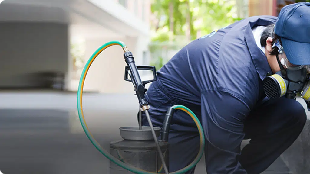 New Patliputra Pest Management