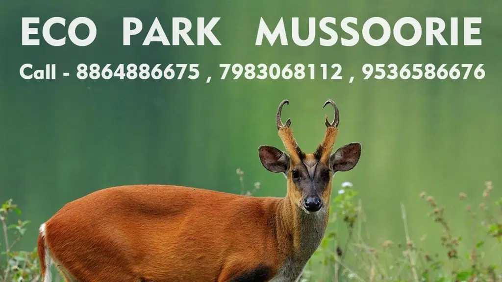 ECO Park Mussoorie