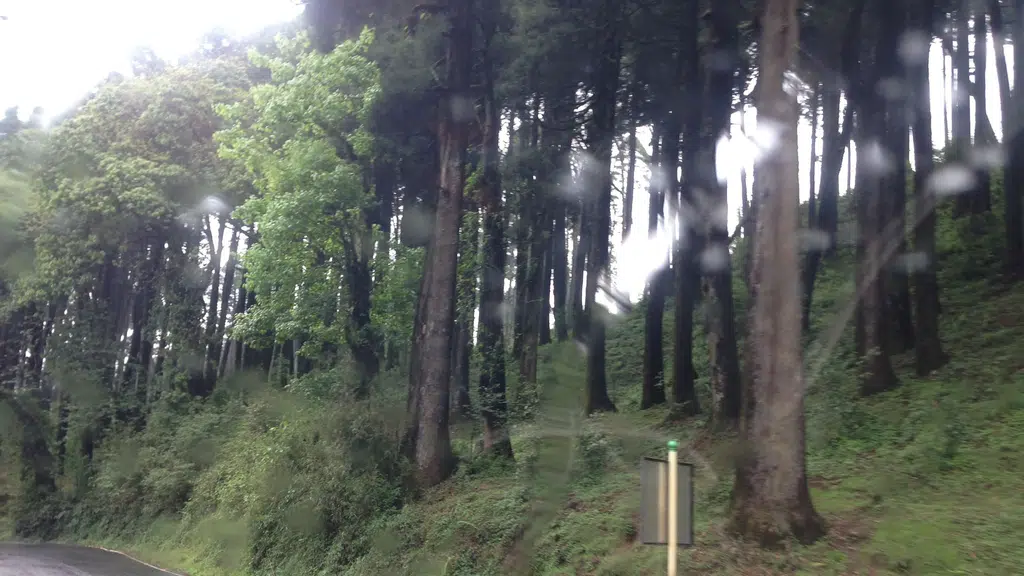 Green Valley Homestay