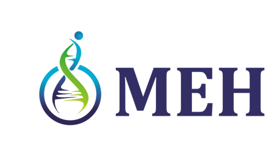 Mehta API Private Limited