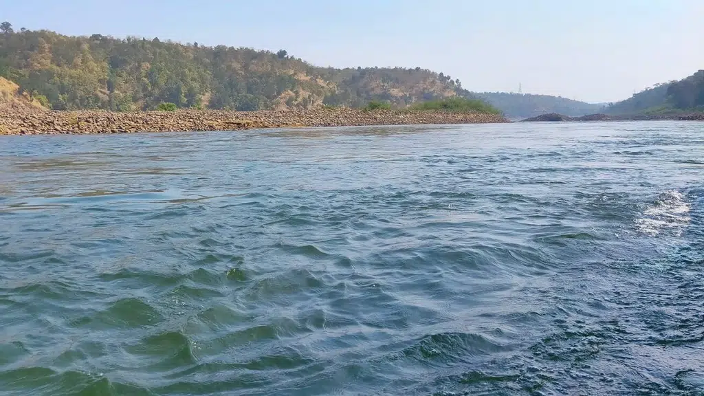 Narmadalaya NGO