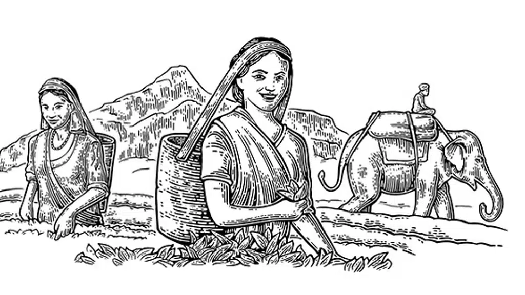 Advait Tea And Agro Product Pvt Ltd.
