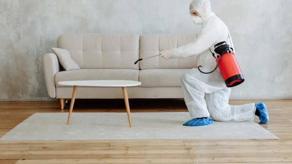 Asian Pest Control Services
