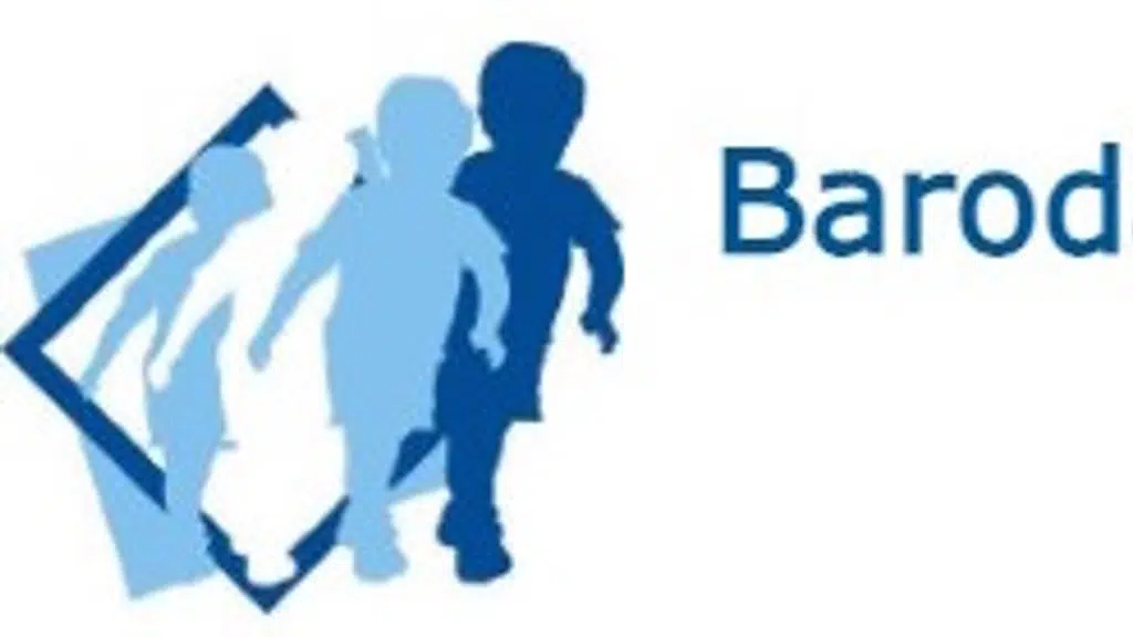 Baroda lions school