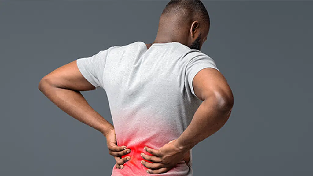 Ortho Renew Physiotherapy Powered by Healyos