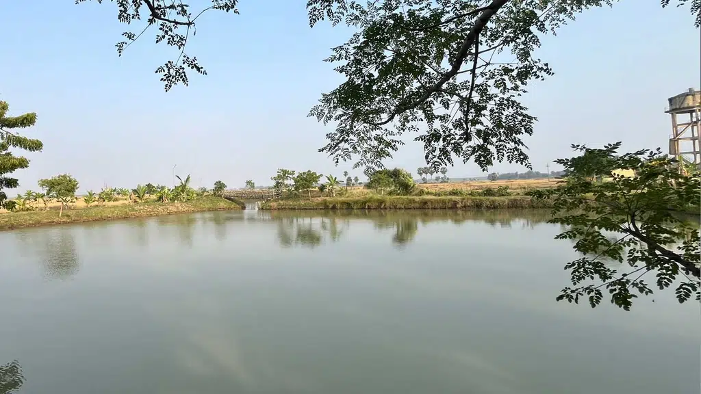 Sagar Green