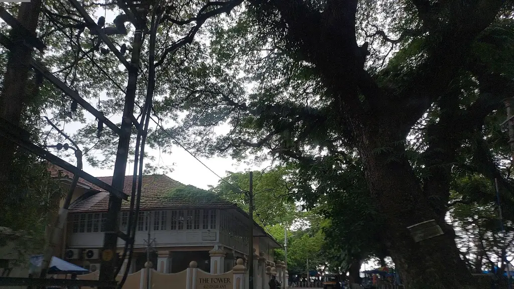 Cochin Art Gallery