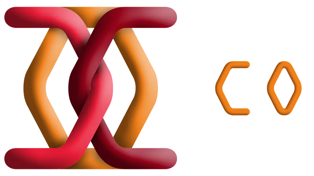 CODDIEZ - IT SOLUTIONS / Best Web Development Agency