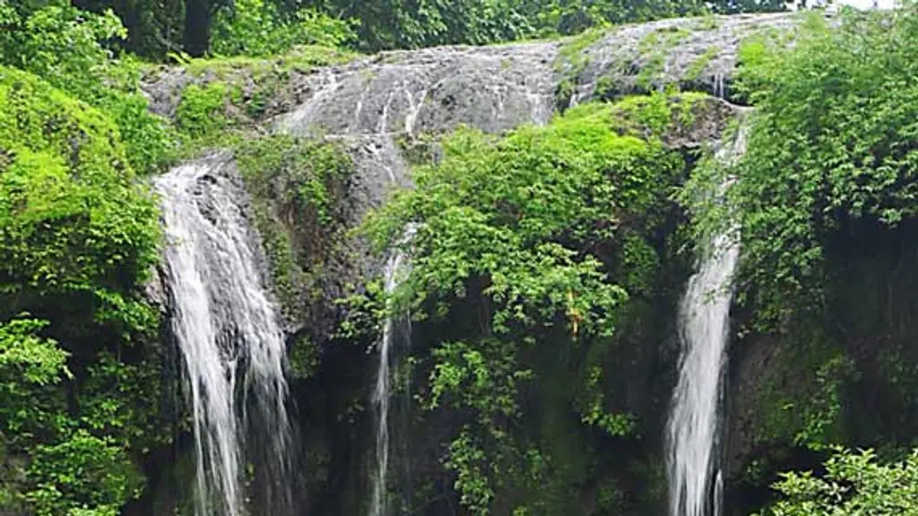 Vananchal Heritage Resort