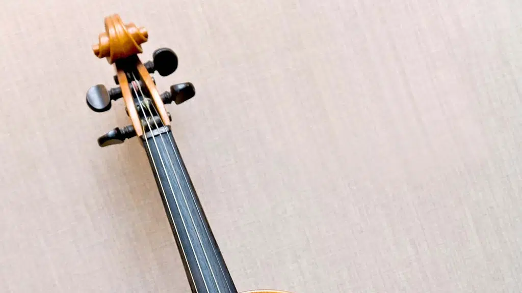 Shan's School of Music