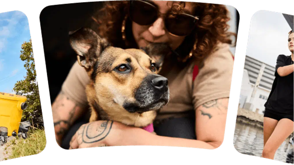Chamba Animal Care Center