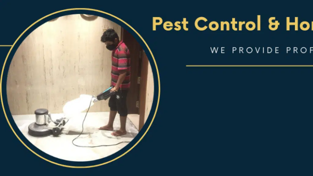 JayRaj Pest Control and Home Cleaning Services