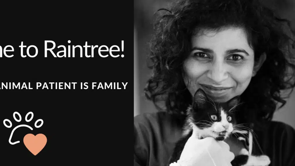 Raintree Veterinary Clinic and Rehabilitation Centre