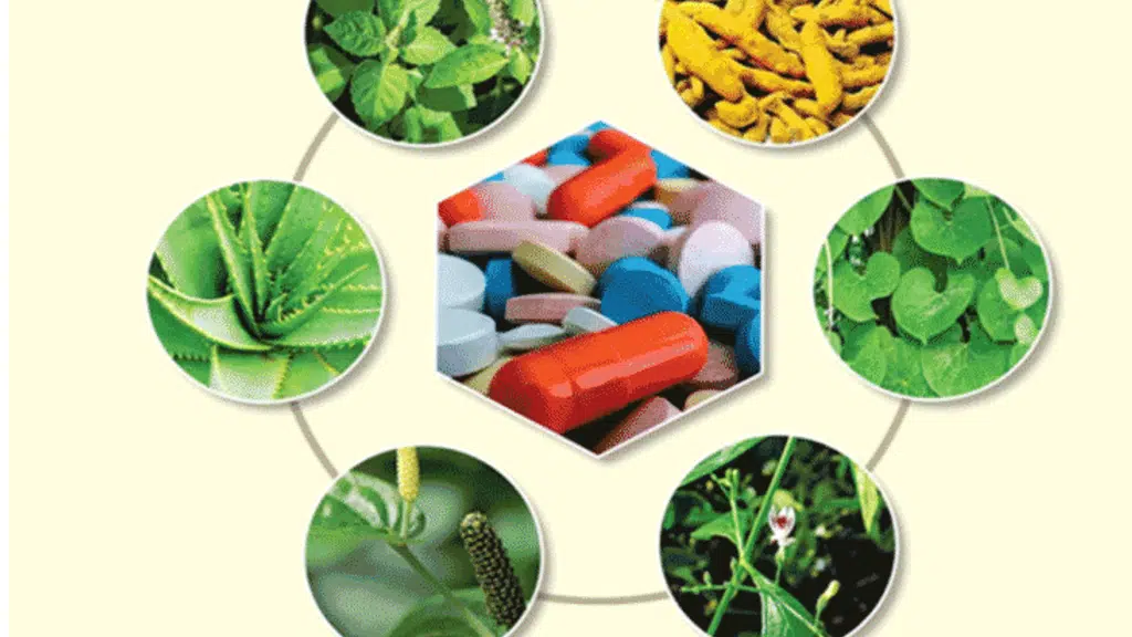 Herbrite Healthcare
