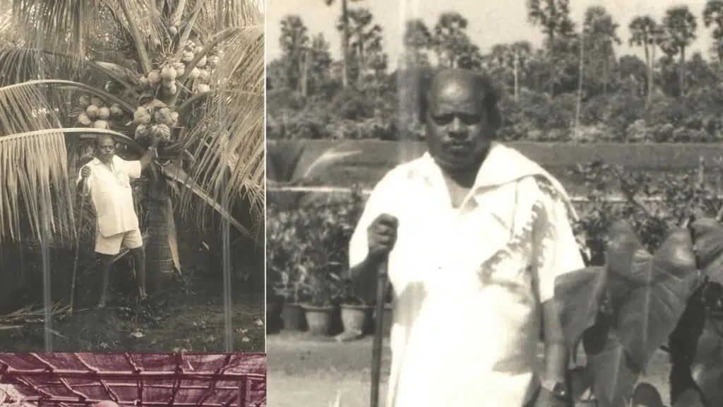 Palla Venkanna Nursery