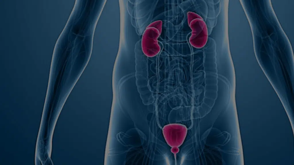 DR. Anandan’s Urology Clinic