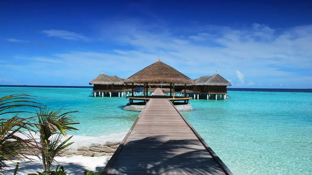Vacation Zone -Travel Agencies/Tour Packages/Tour Operators/International Tour/Domestic Tour/Best Travel Agencies in Chennai