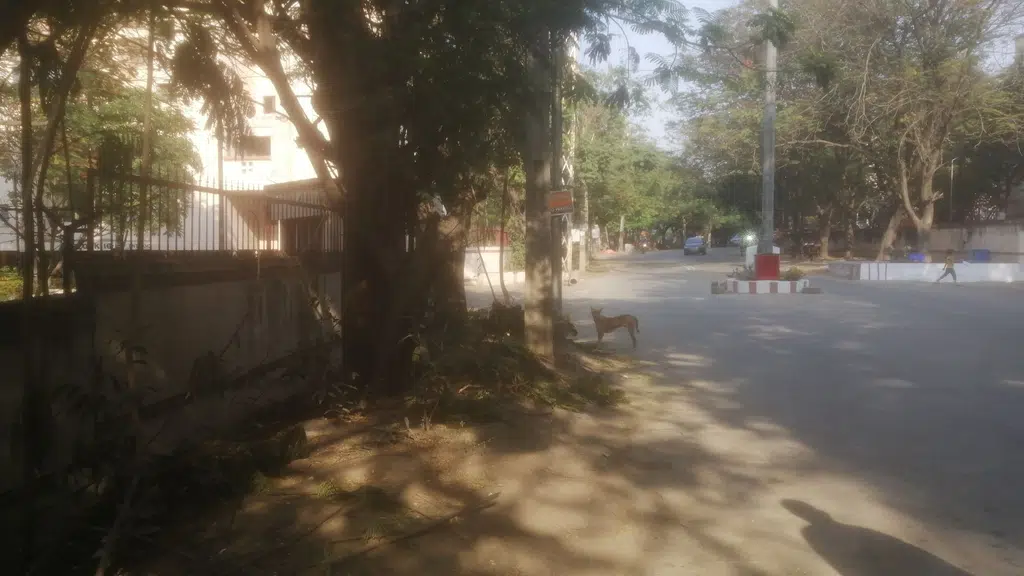 Sri Lakshmi Prasanna Nadaswara Brundam