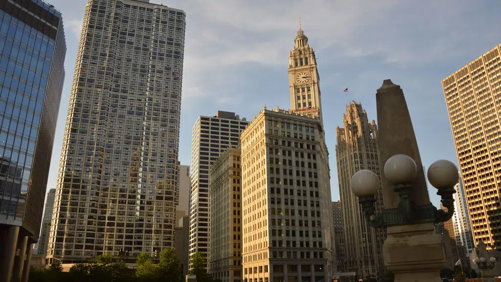81 Aureate