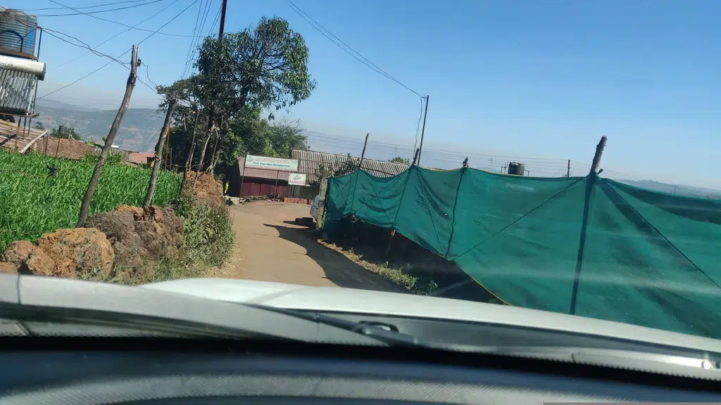 Laxmi Strawberry Farm