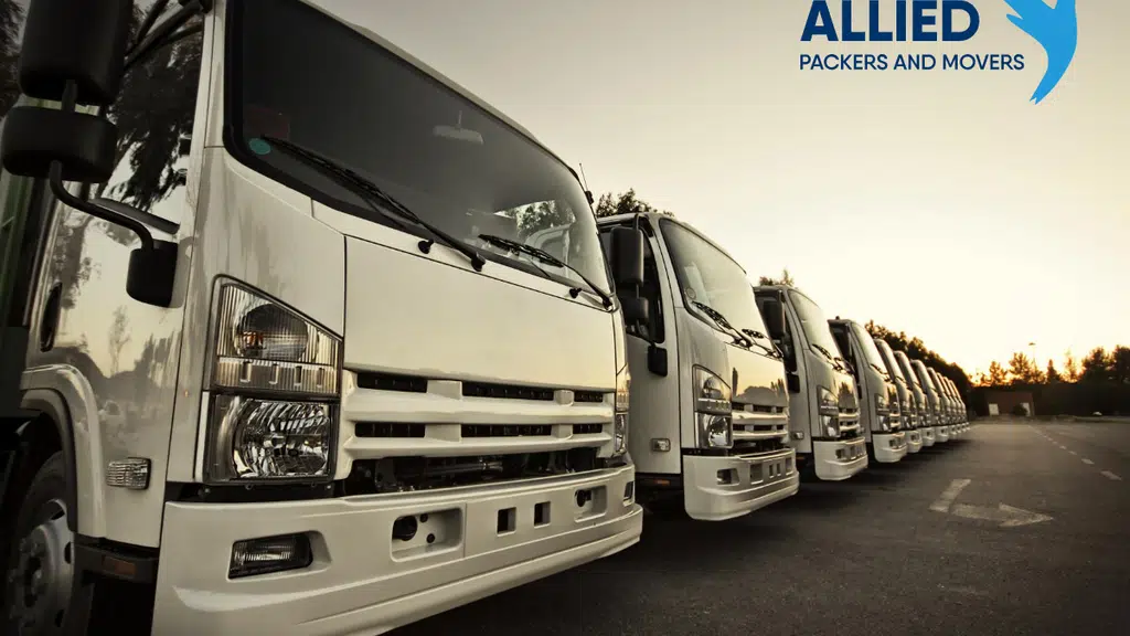 Allied Movers & Packers - INDIA