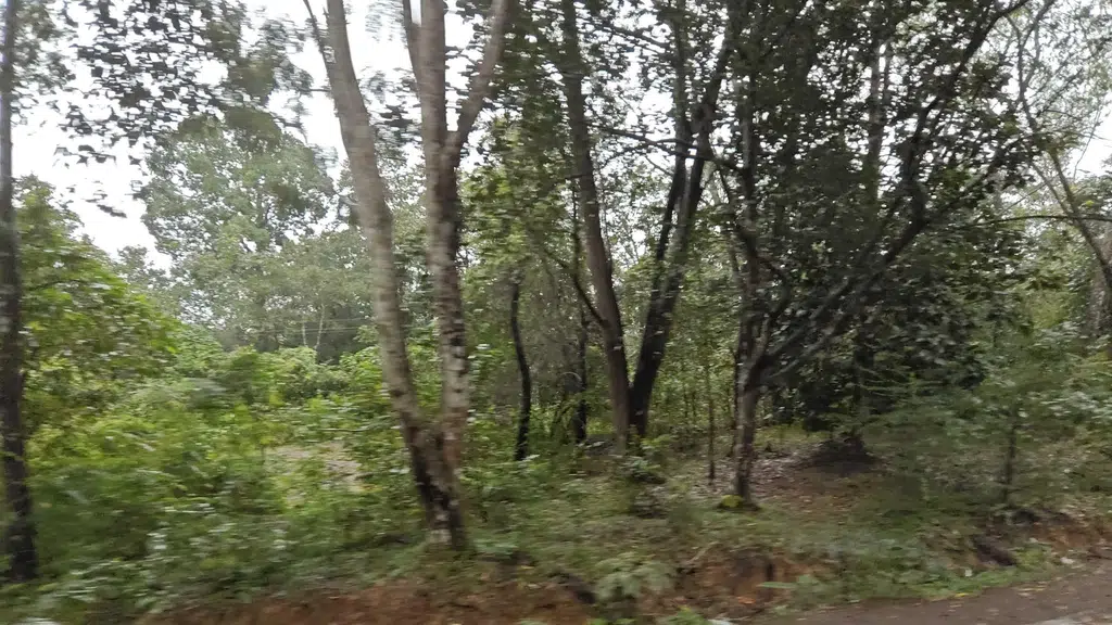 Shirley Falls Yellapur