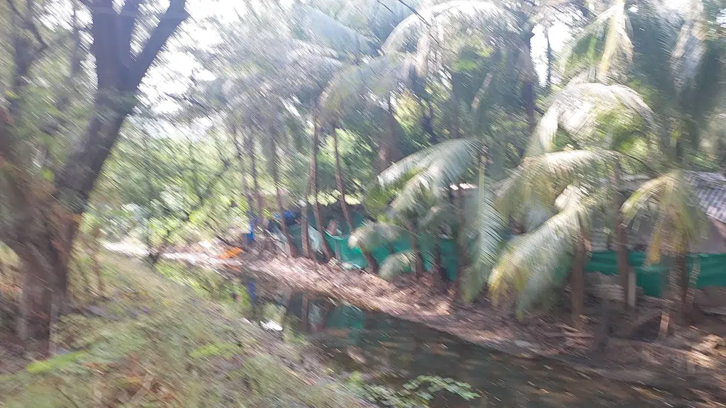Green Valley