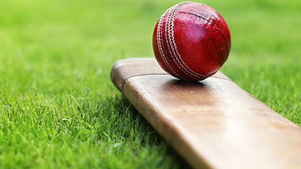 Cricket Academy