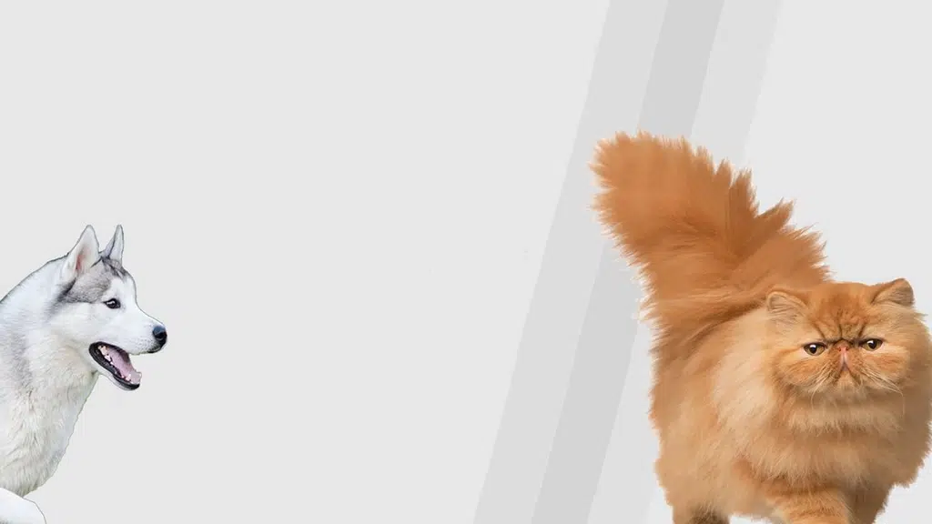 Pretty Pawz Pet Grooming Studio
